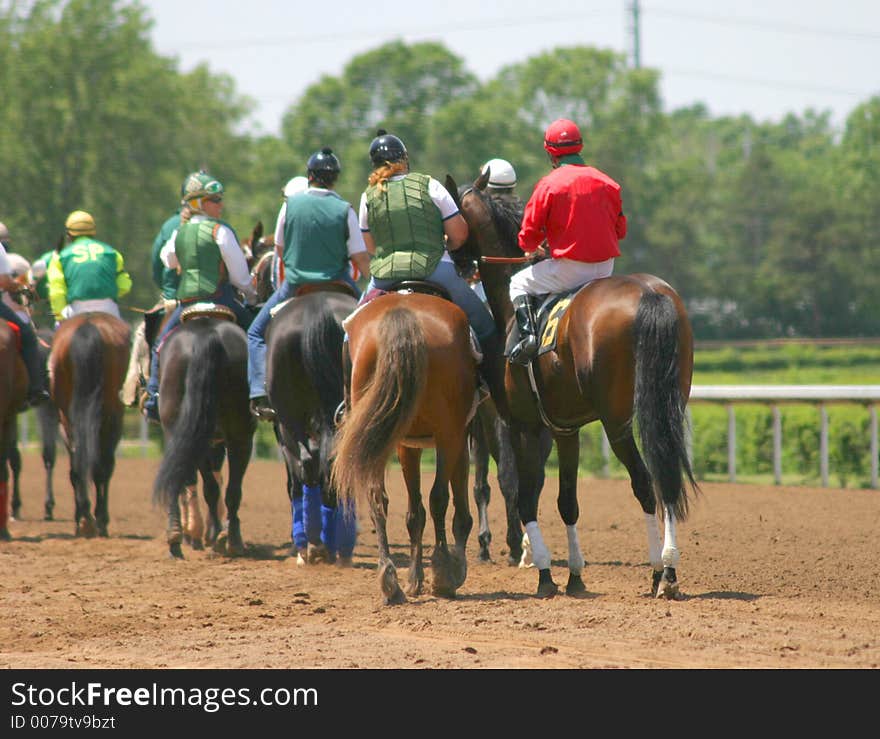 Horses come on to the track to begin racing. Horses come on to the track to begin racing