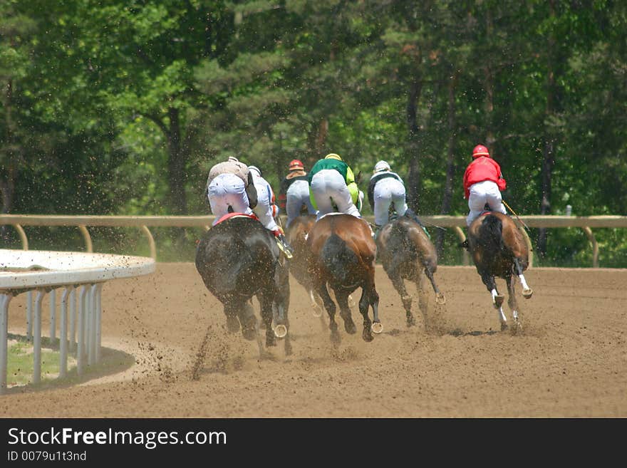 Horses Round the Corner