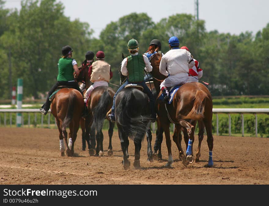 Horse Racing