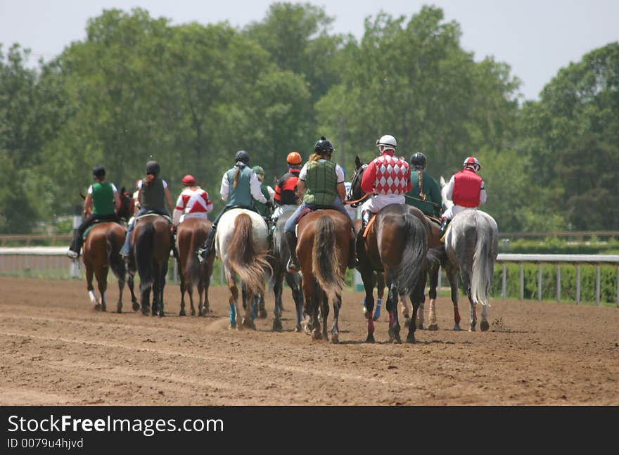 Horses coming out onto the track before the race