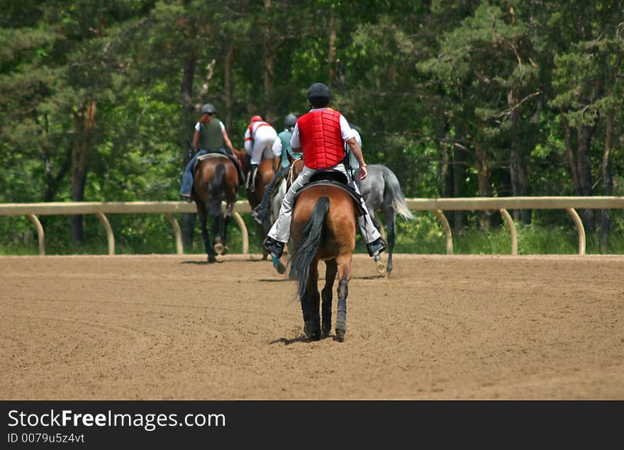 Horses cooling down after the race. Horses cooling down after the race