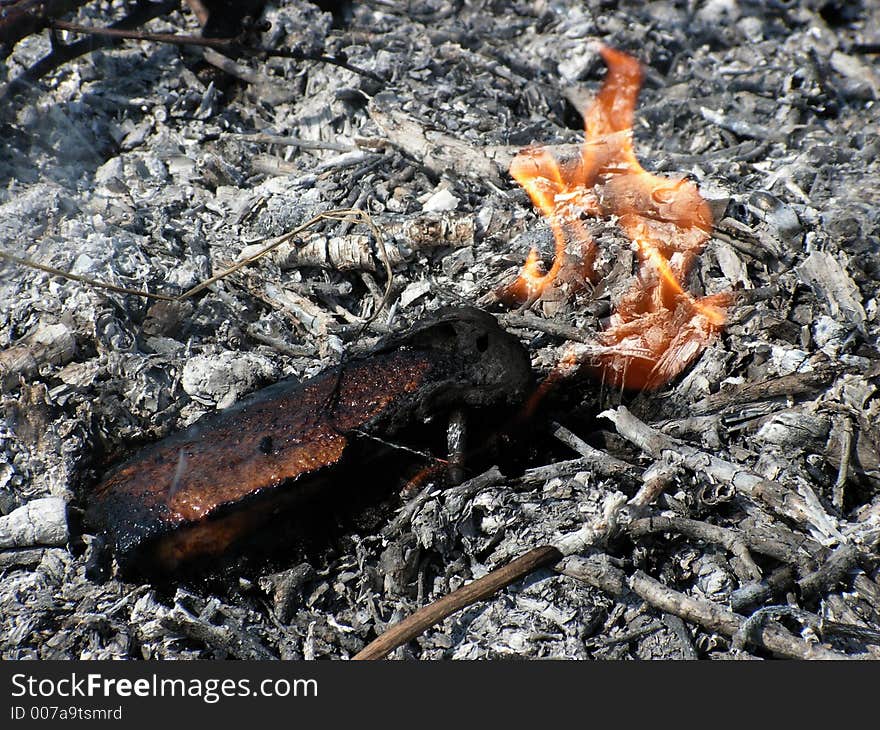 It's a piece of meat burning in the ash. It's a piece of meat burning in the ash.