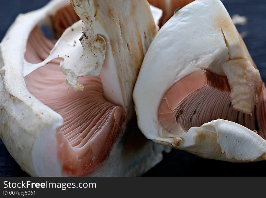 Mushrooms champignons-natural, which have grown in a wood without fertilizers and consequently especially tasty