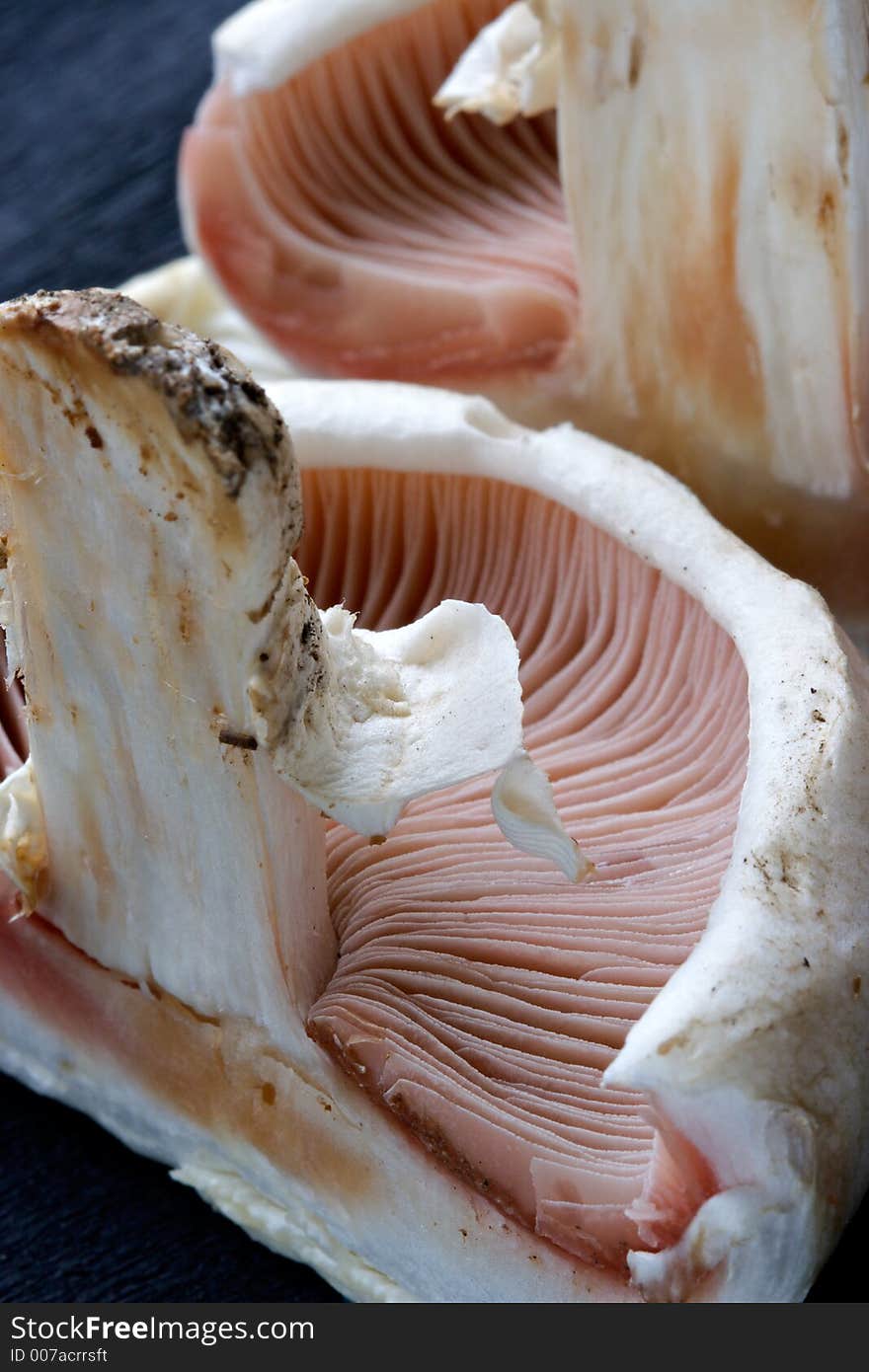 Mushrooms champignons-natural, which have grown in a wood without fertilizers and consequently especially tasty