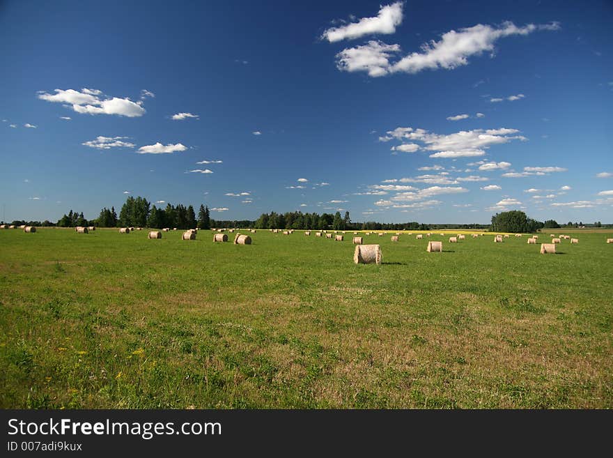 Landscape with blue sky and white clouds. Landscape with blue sky and white clouds