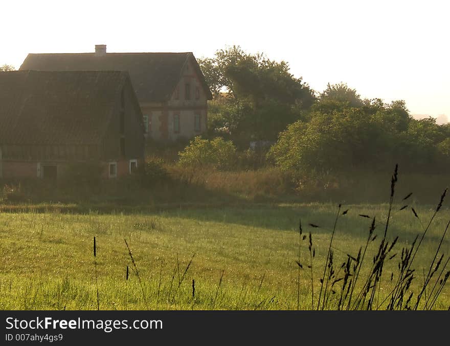 Foggy farm landscape