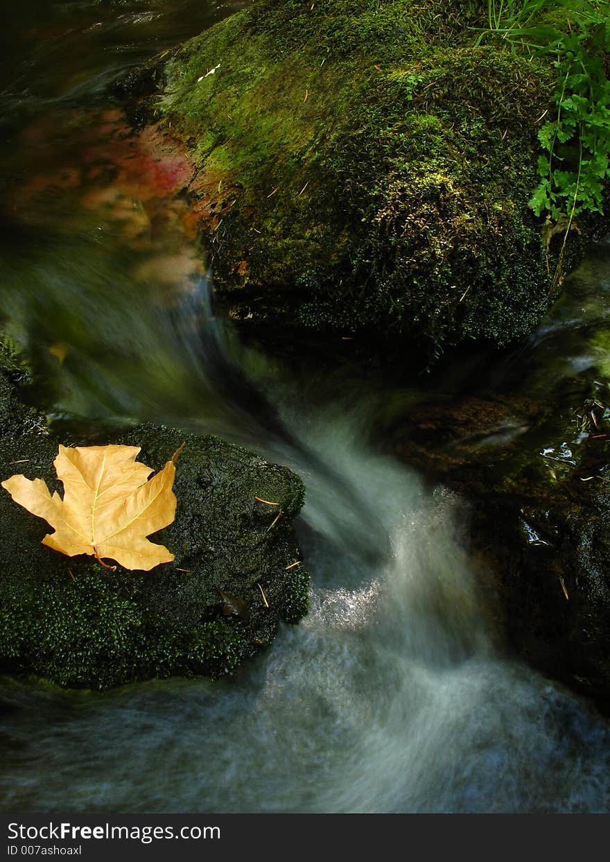 Orange leaf located in between rocks as water flows in between. Vertical photo. Orange leaf located in between rocks as water flows in between. Vertical photo