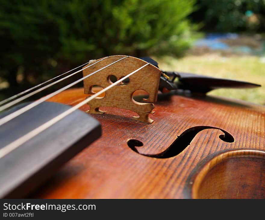 Closeup of a violin