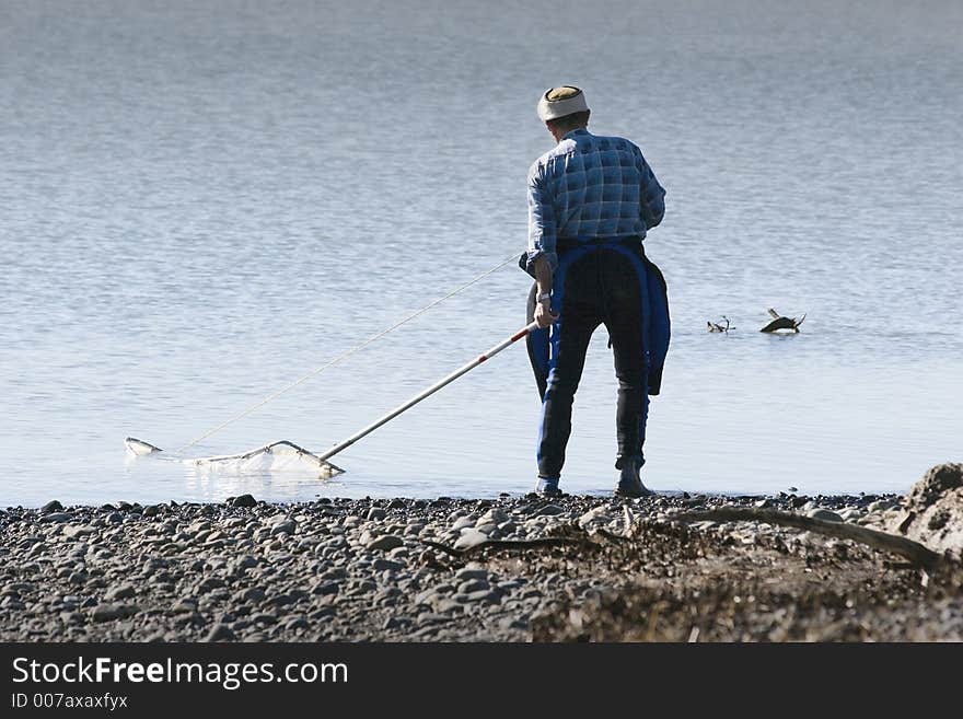 Start of the whitebaiting season, Haumoana, New Zealand. Start of the whitebaiting season, Haumoana, New Zealand.