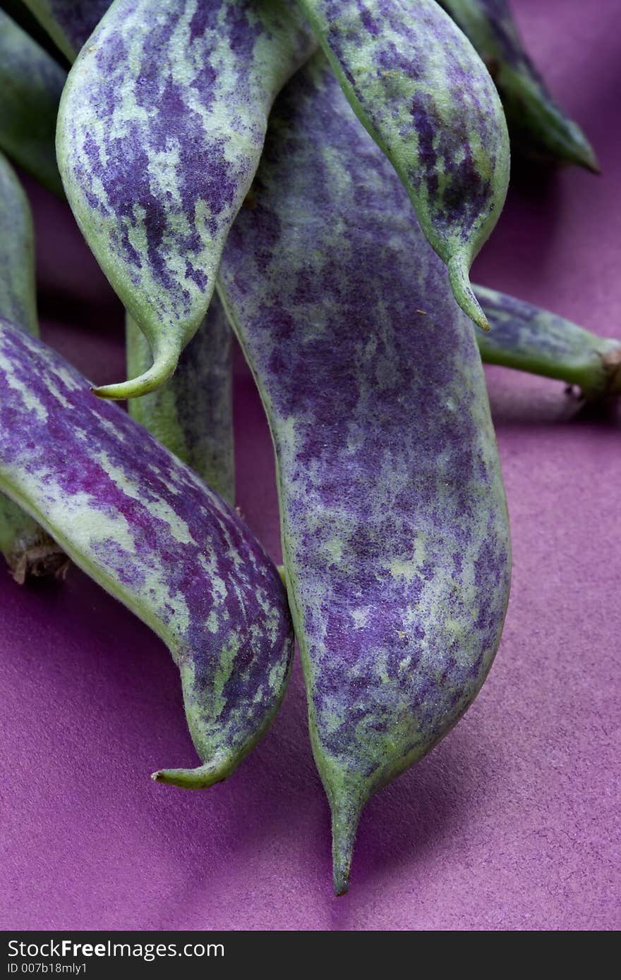 Large multi-coloured pods of a string bean. Large multi-coloured pods of a string bean