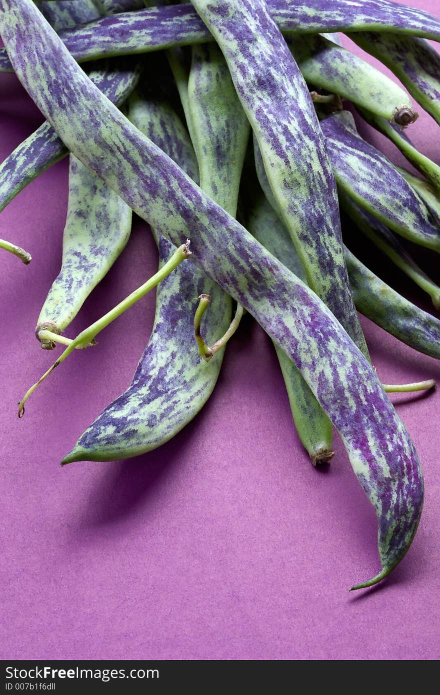 Large multi-coloured pods of a string bean. Large multi-coloured pods of a string bean