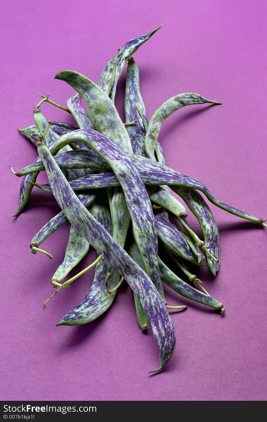 Large multi-coloured pods of a string bean. Large multi-coloured pods of a string bean