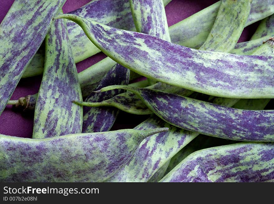 Large multi-coloured pods of a string bean. Large multi-coloured pods of a string bean