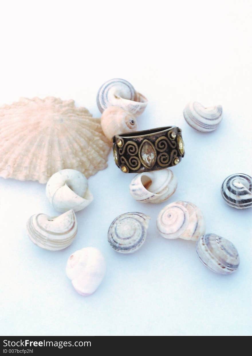 Shells And Ring 2