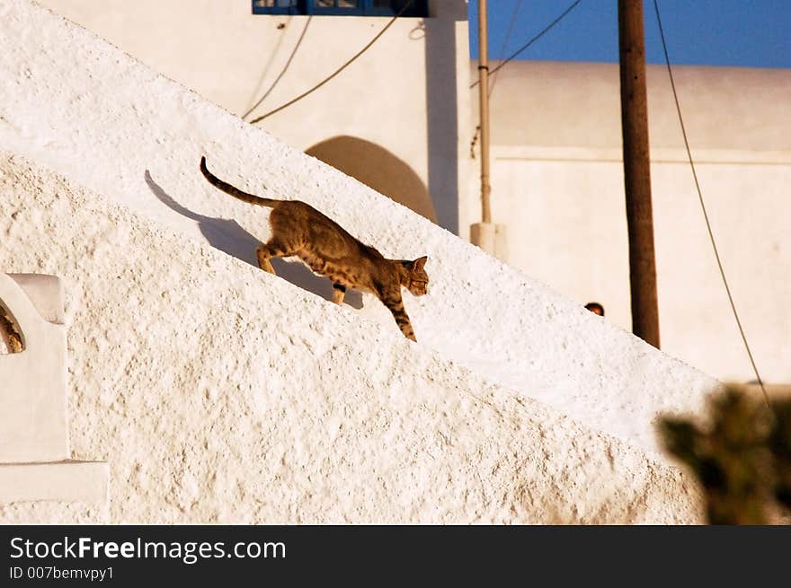 Santorin, greek, holiday, church