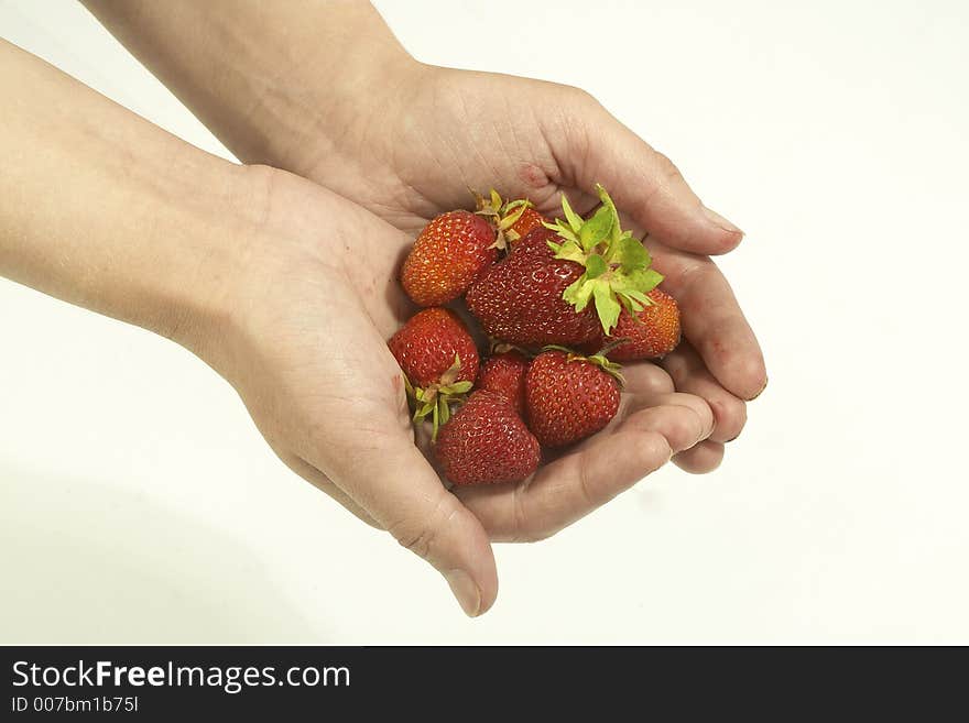 Hand holds the strawberries. Hand holds the strawberries