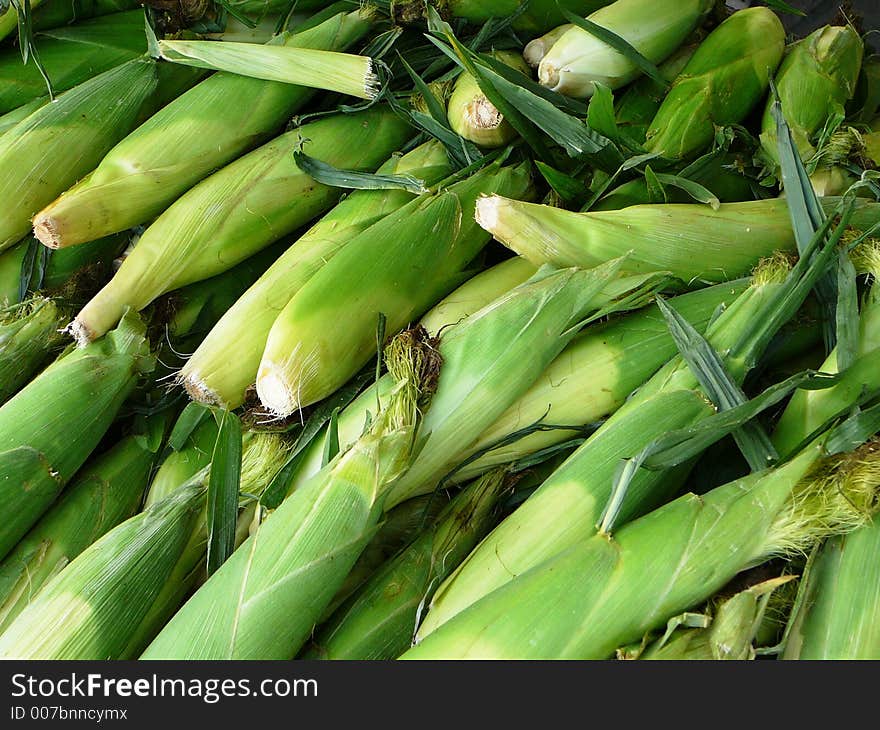 Crate of fresh corn stacked for sale in an outdoor market. Crate of fresh corn stacked for sale in an outdoor market