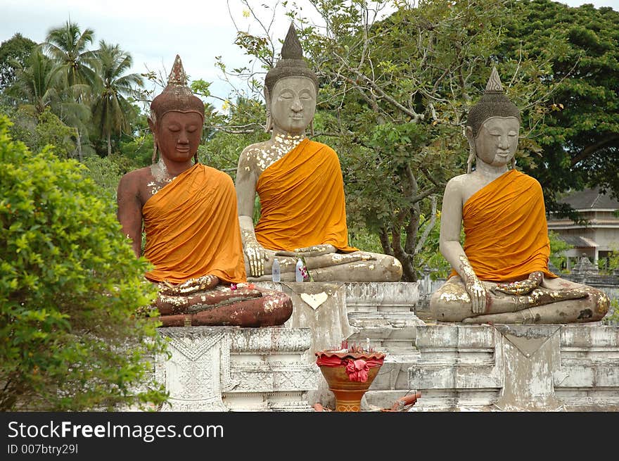 Buddhas