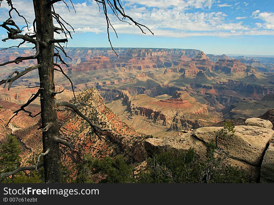 Grand Canyon View