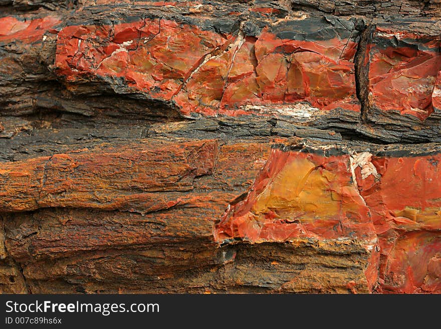 Petrified wood, Petrified Forest National Park