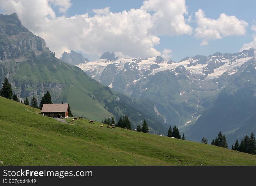 Typical swiss landscape