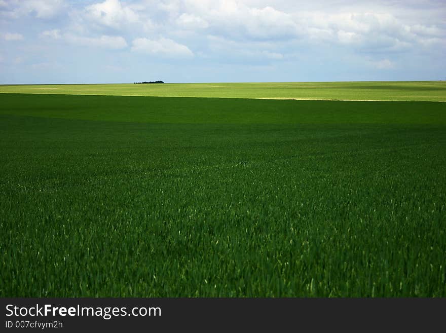 Green field and cloudy sky