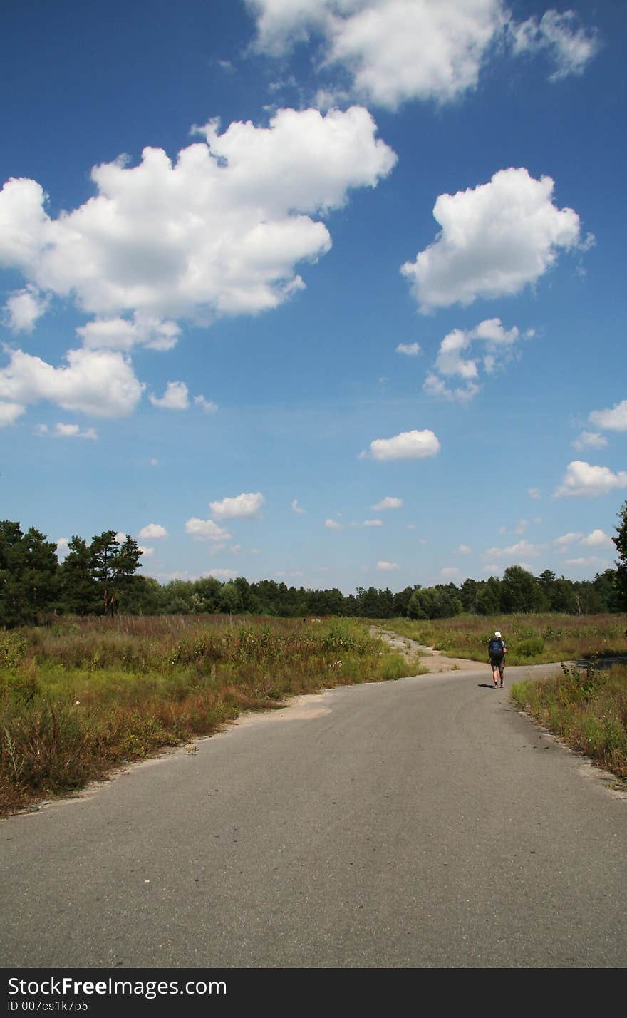 Village landscape and road. Village landscape and road