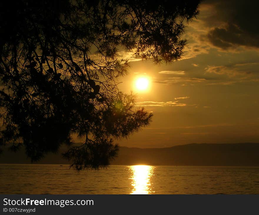 A photo of a sunset to the sea seen through a tree. A photo of a sunset to the sea seen through a tree