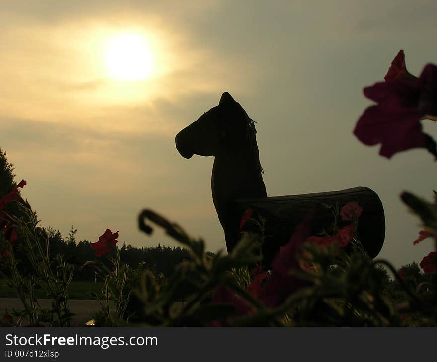 Wooden Horse In Evening