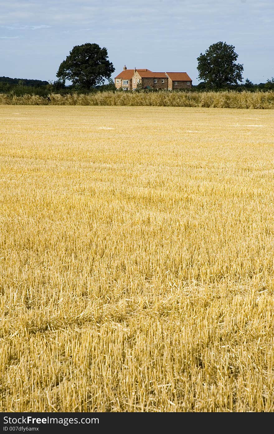 Farmhouse against a cut wheatfield. Farmhouse against a cut wheatfield