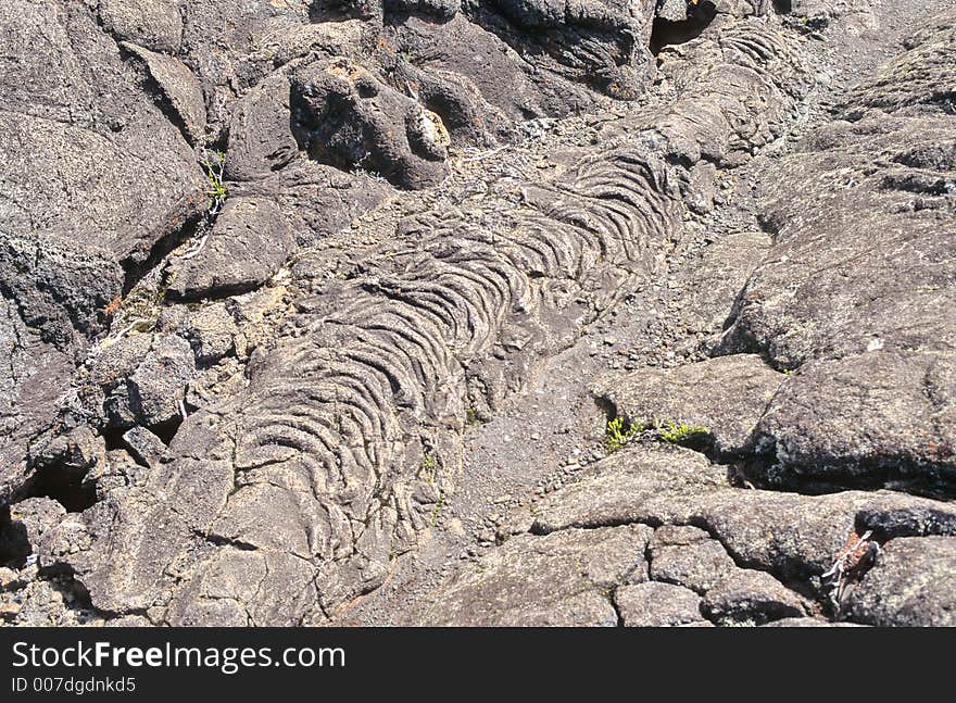 Short plants are growing on recent lava on volcano piton de la fournaise in reunion island, indian ocean