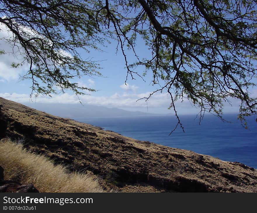 While hiking up some mountains in Maui I took this picture of the base of Haleakala volcano on the island's east side. While hiking up some mountains in Maui I took this picture of the base of Haleakala volcano on the island's east side.