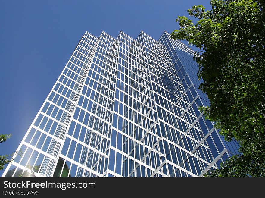 Downtown building looking up with tree and blue sky. Downtown building looking up with tree and blue sky.