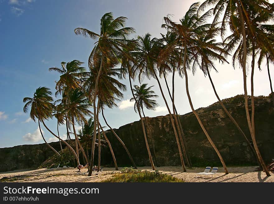 The view from Bottom Bay, Barbados