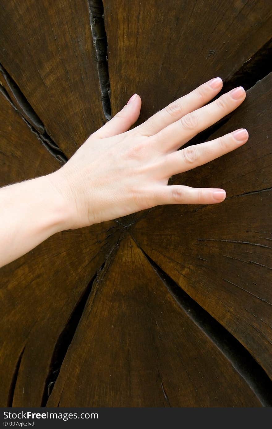 Hand of light skin woman on dark brown tree stump. Hand of light skin woman on dark brown tree stump