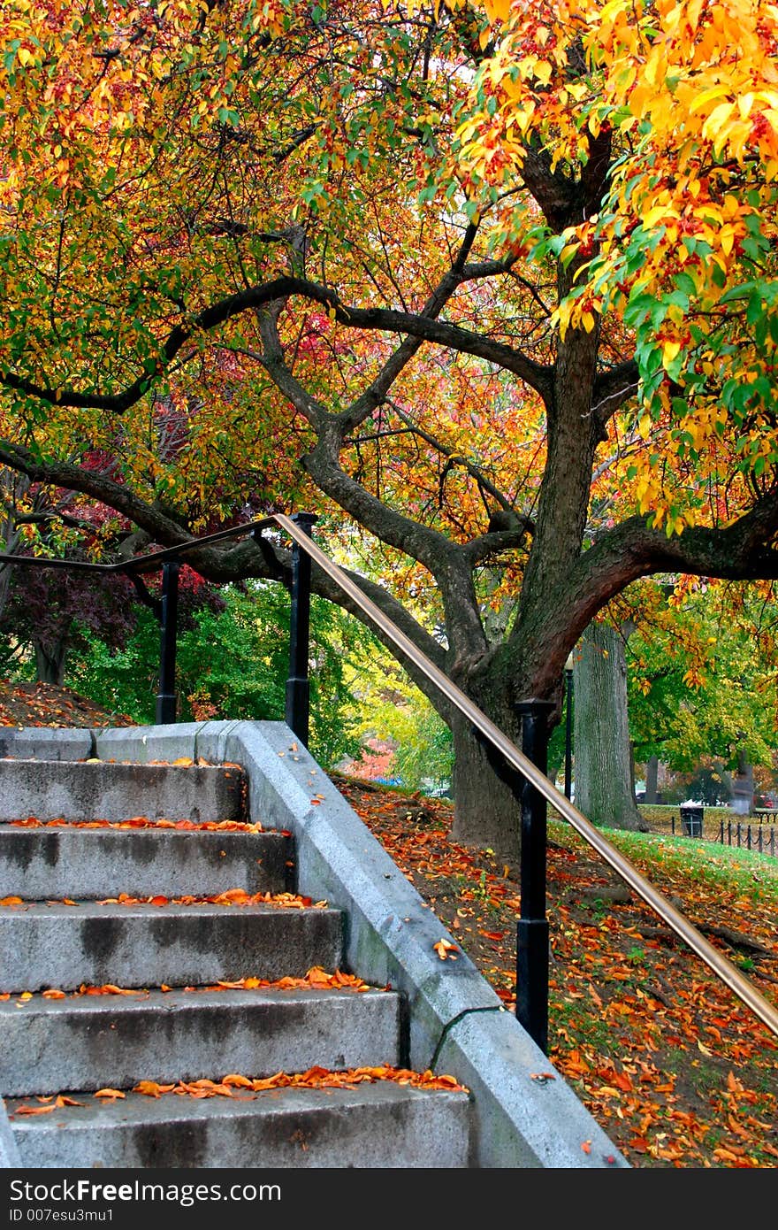 Autumn in Boston Public Garden