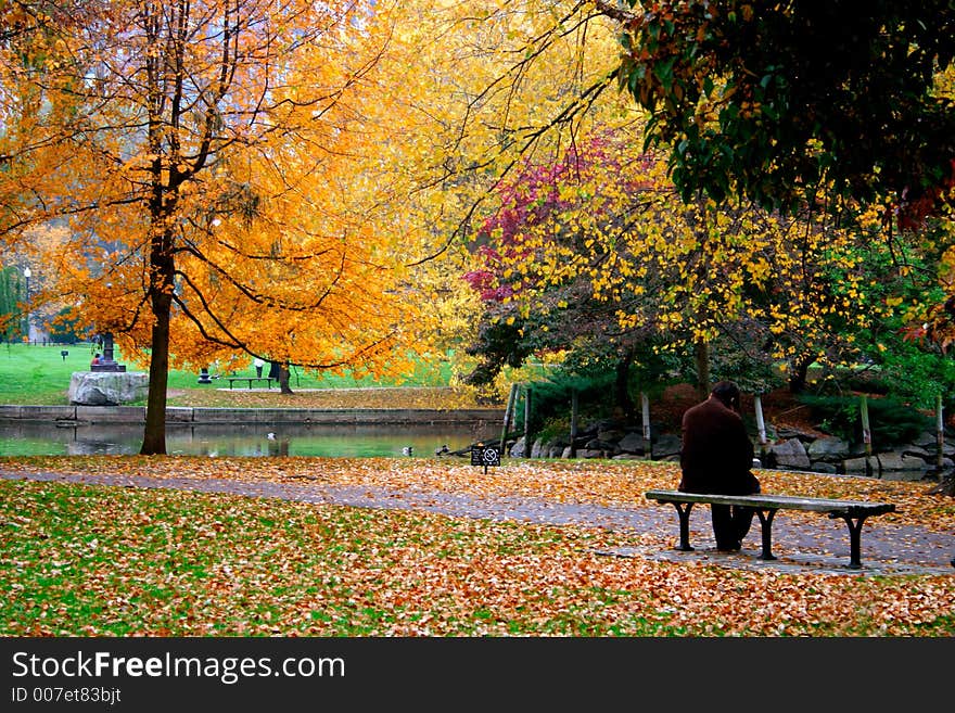 Boston Public Garden