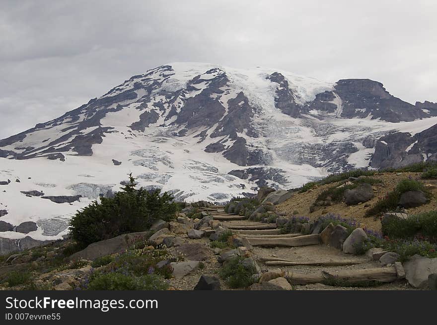 Steps Leading Up To Mt Rainier