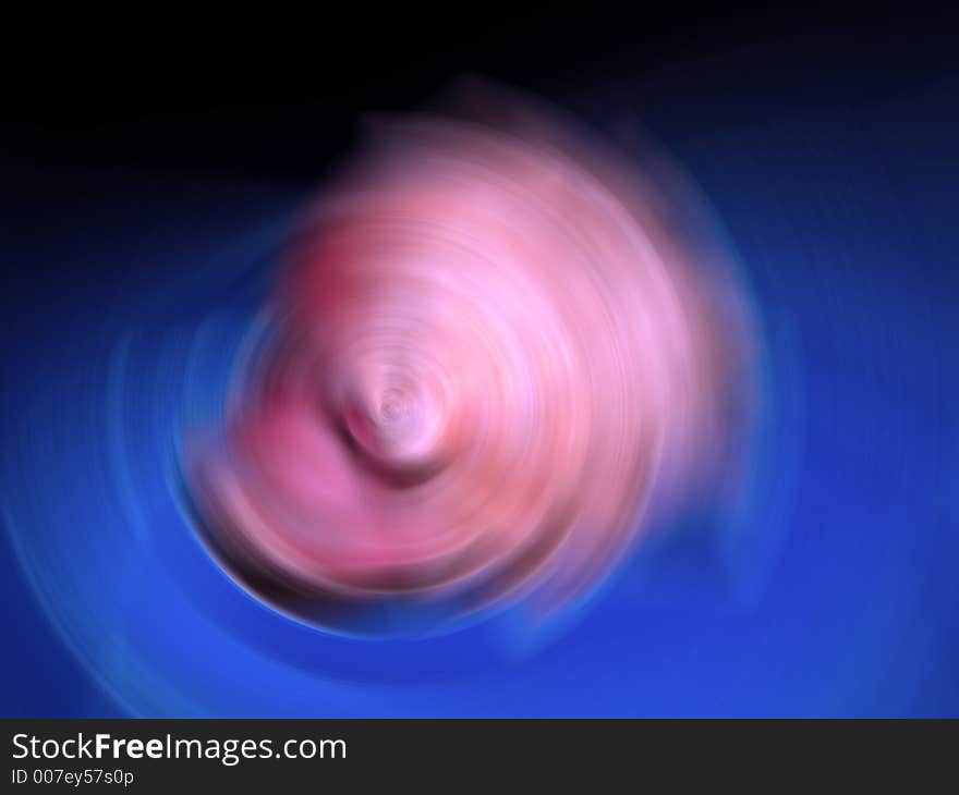 A shell in rotation on a blue surface.