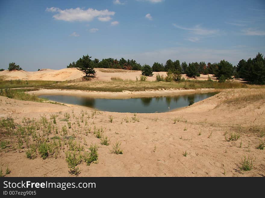 Beautiful lake in the oasis. Beautiful lake in the oasis