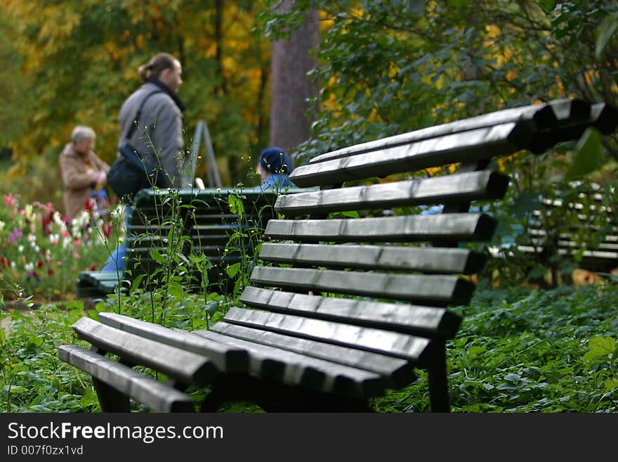 Place of rest in park. Place of rest in park