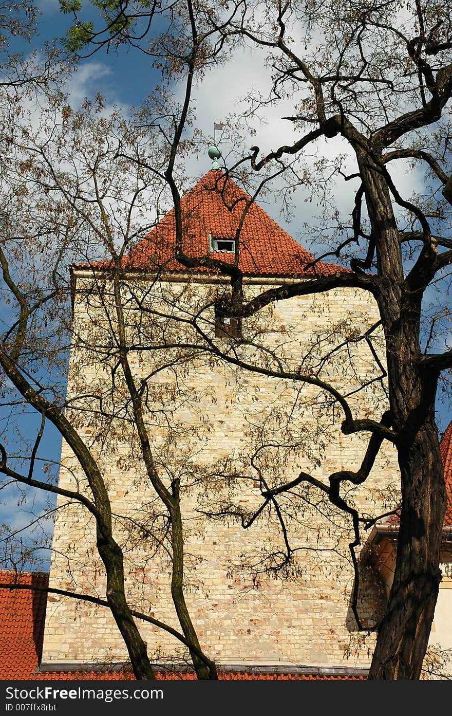 Church behind the branches. Church behind the branches