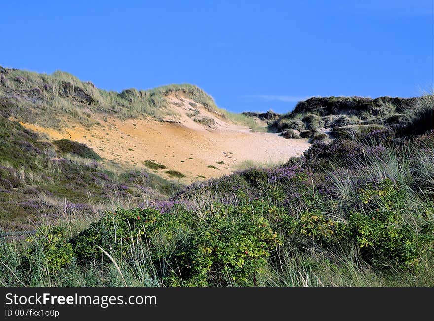 Dunescape