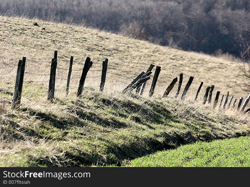 Green spring landscape in the  danish country. Green spring landscape in the  danish country