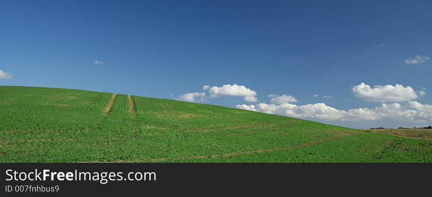 Green spring and blue sky landscape in the  danish country. Green spring and blue sky landscape in the  danish country