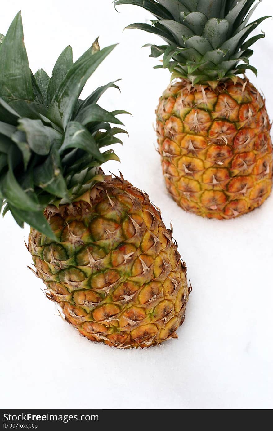 Close up picture of pineapples in snow. Close up picture of pineapples in snow