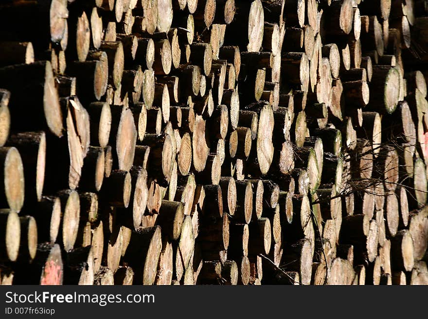 Woodpile closeup on  tree trunks