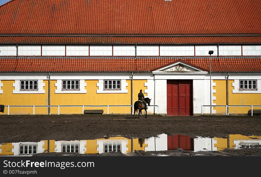 Riding at the a horse farm in denmark. Riding at the a horse farm in denmark