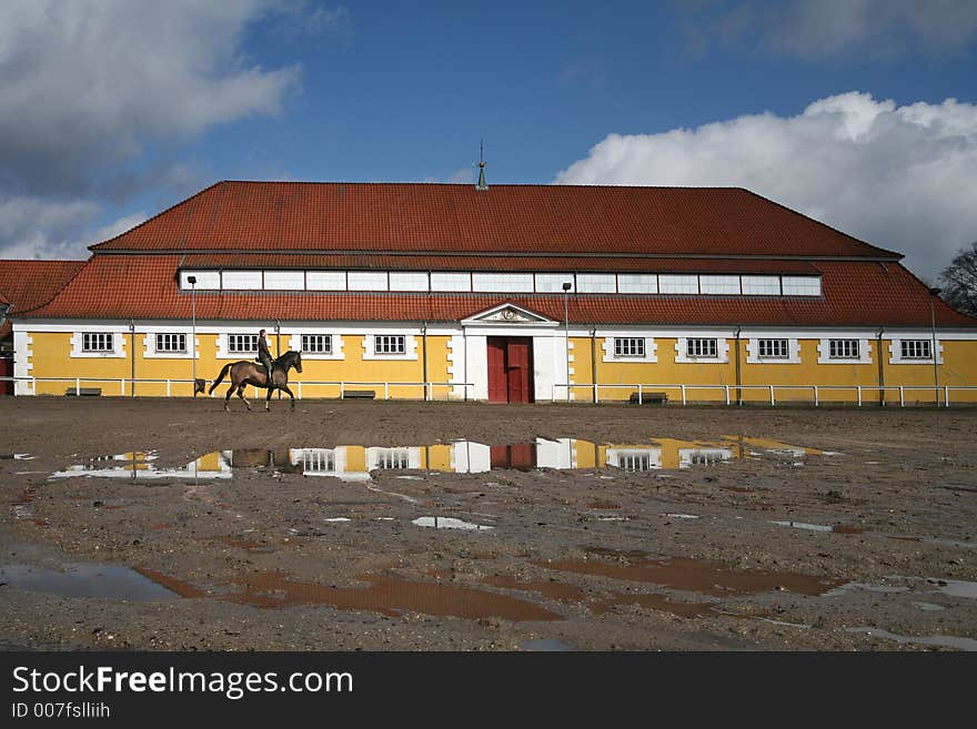 Riding at the a horse farm in denmark. Riding at the a horse farm in denmark