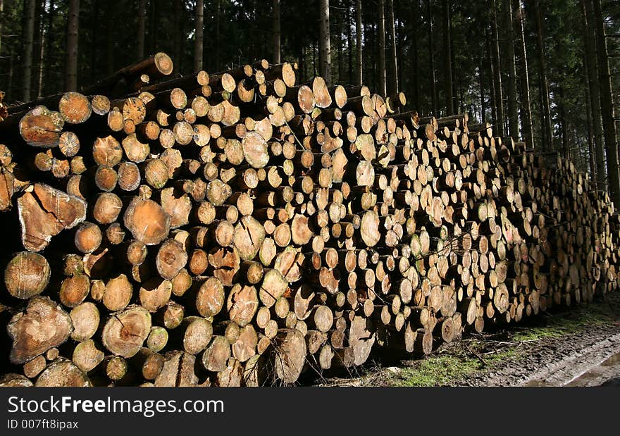 Woodpile closeup on  tree trunks in the sun